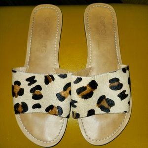 Coconuts by Matisse Cabana Sandals